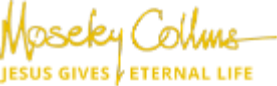Moseley Collins Law